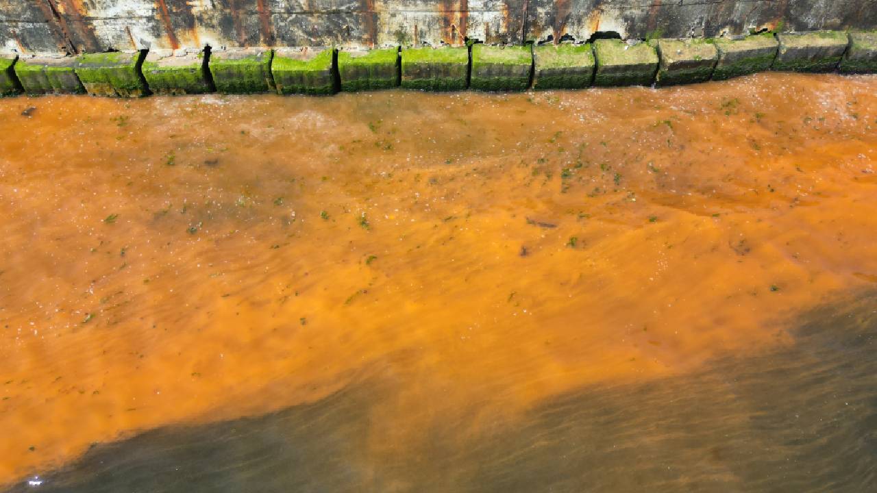 Marmara Denizi'nin Tekirdağ kıyıları, yükselen hava sıcaklıklarıyla birlikte turuncuya boyandı. Uzmanlar, korkulacak bir durum olmadığını ve bunun tamamen mevsimsel bir plankton patlaması olduğunu açıkladı.